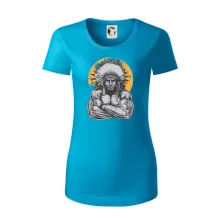 Indián z posilky Indián z posilky