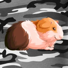 Morča - kreslené z boku