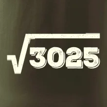 Narodeniny odmocniny 55