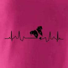 Jack Russell Terriér Ekg