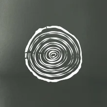 Letokruhy 10 bez veku