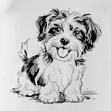 Havanský psík skica
