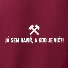 JÁ SEM HAVIŘ, A KDO JE VIĆ?!﻿