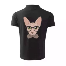 Hipster sphynx