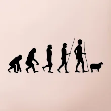 Evolúcia pastier oviec