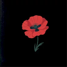 Vlčí mak kreslený veľký Vlčí mak kreslený veľký