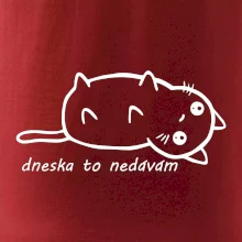 Dnes to nedávam