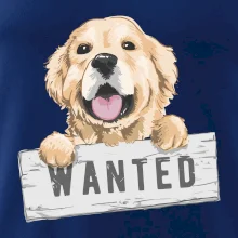 Zlatý retriever - šteniatko wanted