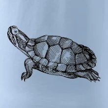 Ceruzkou kreslená korytnačka