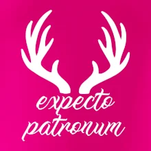 Harry - Expecto patronum