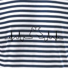 Borderská kólia EKG