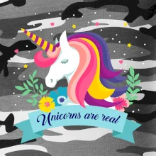 Unicorns are real dúhový Unicorns are real dúhový