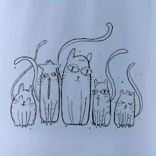 Mačacia rodina Mačacia rodina