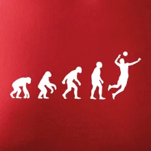 Evolúcia volejbal muž