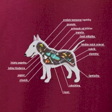 Tajomstvo bulteriéra s popisom (Pecka Design)