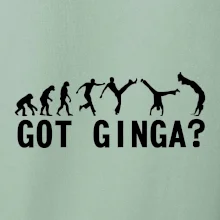 Capoeira - Got Ginga