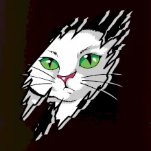 Kočka v roztrženém triku