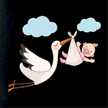 Bocian čakáme bábätko - dievča