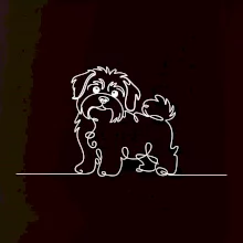 Havanský psík linka jedným ťahom