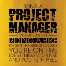 Being A Project Manager - bike
