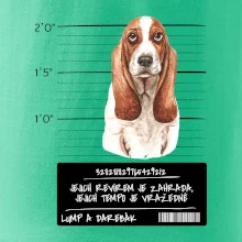 Baset - lump a darebák   Baset - lump a darebák