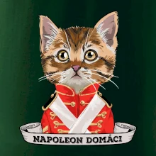 Napoleon domáci mačka Napoleon domáci mačka