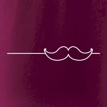 Linka fúzy Linka fúzy