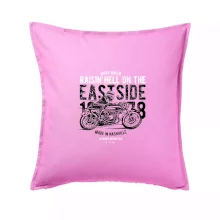 Raisin Hell Moto Racer