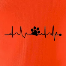 Ekg psia labka Ekg psia labka