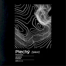 Plechý - vrstevnice v obdĺžniku