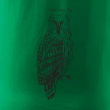 Sova bradatá Barred owl