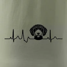 Lagotto romagnolo hlava EKG