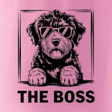 Lagotto romagnolo the boss