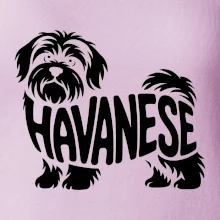 Havanese nápis v tele