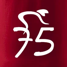 Cyklista oslavuje sedemdesiatpäťpäťky (75)