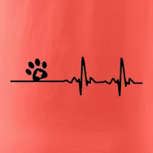 Veterinár EKG