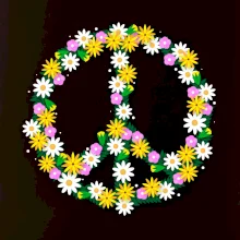 Peace symbol margaréty