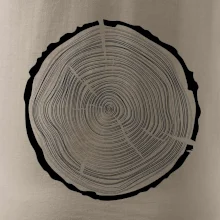 Letokruhy 50 bez veku