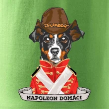 Napoleon domáci kríženec