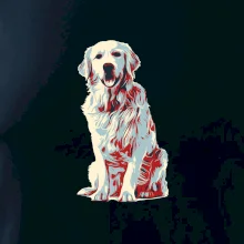 Zlatý retriever vintage