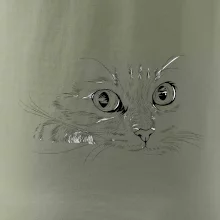 Mačka tvár kresba Mačka tvár kresba