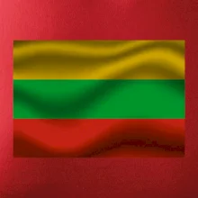Litva vlajka obdĺžnik