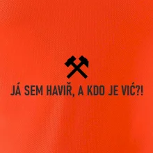 JÁ SEM HAVIŘ, A KDO JE VIĆ?!﻿