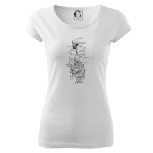 Skica ľudských orgánov