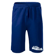 Formula v závode Formula v závode