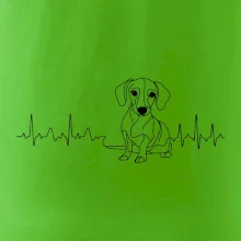 EKG krivka jazvečík