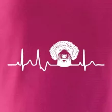 Lagotto romagnolo hlava EKG