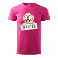 Zlatý retriever - šteniatko wanted