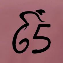 Cyklista oslavuje šesťdesiatpäťku (65)