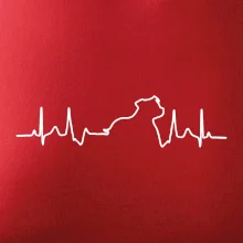 Stafordšírsky bulteriér ‎ EKG